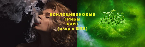 ПСИЛОЦИБИНОВЫЕ ГРИБЫ Аркадак
