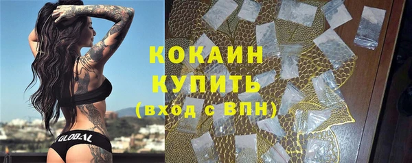 ПСИЛОЦИБИНОВЫЕ ГРИБЫ Аркадак